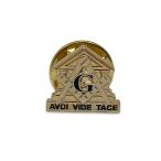  франкмасон булавка bachi compass линейка G Mark домик золотой цвет тайное общество LFB3300 свободный me-sonAVDI VIDE TACE