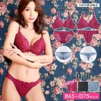 ブラジャー ショーツ セット ワンカラー シンプル 総レース ブラジャー バック透け フルバック Tバック ショーツ 下着 レディース セット t