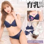 ブラジャー ショーツ セット シンプル レース 脇高 育乳 ブラジャー フルバック Tバック ショーツ 大きいサイズ ブラ セット