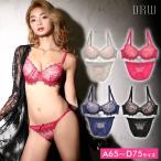 ブラショーツ ブラジャー ショーツ セット 下着 ドレッシーでヌーディーな大人の花柄刺繍総レース SEXYブラジャー ショーツ下着セット 下着 レ