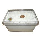 処分品！B品簡単セット カワラ エノキ材 人工産卵床 SN2500M-B