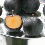 菜園生活 バイオチェリー/12cmポット　接木1年生　高さ60cm