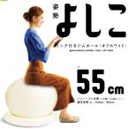 La-VIE リング付きジムボール55cm姿勢よしこ/3B-3122 ホワイト/55cm