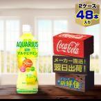 アクエリアス 1日分のマルチビタミン 500ml 24本入 x 2ケース（計48本）/スポーツ飲料 レモン PET ペットボトル 水分補給 コカ・コーラ社/メーカー直送 送料無料