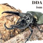\ベトナム便/天然個体/ タイリクコーカサスオオカブト WD ♂110mmUP ペア プレゼント付き dda カブトムシ 生体