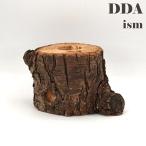 new craft дерево (M) ветка 2409131338 dda рогач жук-носорог жердочка .. дерево 