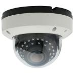 NSK 220万画素AHD屋外用スタンダードドーム型暗視 カメラ NS-AH572VIC