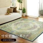 い草 ラグ マット 約210×300cm い草ラグ グレイス (O) 夏 イ草 カーペット 防カビ 抗菌 調湿 自然素材 裏面不織布 洗える 厚手 花柄 フラワー柄 おしゃれ 和風