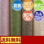 防音 カーペット ラグ 防ダニ ホットカーペットカバー 六畳 6畳 6帖 約261×352cm アレルブロック 遊び毛防止 サウンドヘイズ (S) 半額以下