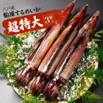  double extra-large Hachinohe production boat . dried squid ..3 cup go in ( approximately 1.2kg~1.3kg) recipe attaching squid Pacific flying squid .. freezing squid freezing boat inside freezing large size boat ... sashimi for raw squid 