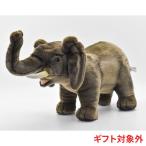 BH3122 アフリカゾウ HANSA　あふりかぞう 象 ぬいぐるみ リアル おもちゃ 置物