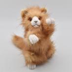 BH5021 ネコ 仔 HANSA ねこ 猫 ぬいぐるみ リアル おもちゃ 置物 母の日
