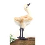 BH5197 カナダヅル 仔 HANSA かなだづる 加奈陀鶴 とり トリ 鳥 ぬいぐるみ リアル おもちゃ 置物 母の日