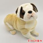 BH5271 ブルドッグ HANSA ぶるどっぐ いぬ イヌ 犬 ぬいぐるみ リアル おもちゃ 置物 母の日