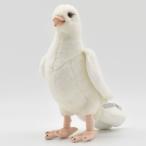 BH5434 シロハト HANSA しろはと 白鳩 とり トリ 鳥 ぬいぐるみ リアル おもちゃ 置物 母の日