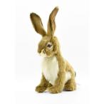 BH5911 ジャックラビット HANSA じゃっくらびっと うさぎ 兎 ぬいぐるみ リアル おもちゃ 置物 母の日