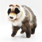 BH6223 タヌキ HANSA たぬき 狸 ぬいぐるみ リアル おもちゃ 置物 母の日
