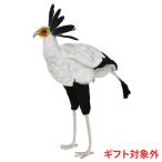 BH7639 ヘビクイワシ HANSA　へびくいわし 蛇喰鷲 とり トリ 鳥 ぬいぐるみ リアル おもちゃ 置物