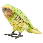 BH7845 カカポ HANSA かかぽ とり トリ 鳥 ぬいぐるみ リアル おもちゃ 置物 母の日