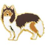 ピンズシェットランドシープドック動...