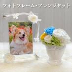 ペットのお供え 花 フォトフレーム アレンジセット お悔やみ プリザーブドフラワー