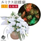 造花 LED ライト ルミナス 胡蝶蘭 光触媒 お盆 盆提灯 供花 お供え花 仏花 盆 提灯 初盆 新盆 供養 花 フラワー 蘭 オーキッド 洋蘭 白