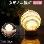  домашнее животное предметы для домашнего буддийского алтаря круг форма Sakura свет Mini фонарь беспроводной домашнее животное LED домашний алтарь класть фонарь compact маленький собака кошка memorial товары симпатичный Sakura специальный выпуск 