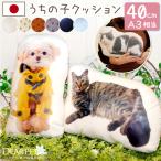 ペット 写真で作る メモリアル クッション ノーマル A3 40cm以内 かわいい オーダー mc