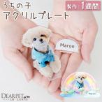オプション 虹の橋 スタンド 用 ペット 写真で作る うちの子プレート ネームプレート アクリル お盆飾り お供え ネコポス対応