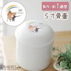  домашнее животное погребальная урна 5 размер домашнее животное погребальная урна радуга. . погребальная урна собака 