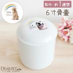  домашнее животное погребальная урна радуга. . погребальная урна 6 размер название inserting фотография домашнее животное .. большой собака Rav Rado ru золотой retoli балка хаски 