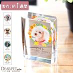 ペット 位牌 スクエア フラワー キラキラ 花 花柄 お花 黄 青 赤 ペット位牌 メモリアルグッズ 犬 猫 うさぎ 小動物 ガラス かわいい おしゃれ 特製BOX付