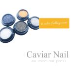 ¥¥ã¥Ó¥¢ ¥Í¥¤¥ë ¥Í¥¤¥ë¥Ñ¡¼¥Ä ¥á¥¿¥ë¥Ñ¡¼¥Ä Nail parts ¥¥ã¥Ó¥¢¥Ó¡¼¥º Ìó3g