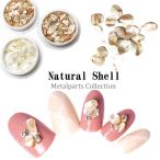  натуральный ракушка Stone каждый примерно 3g 3 вид в кейсе Nailparts гель ногти ногти сопутствующие товары комплект ракушка 