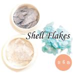  Nailparts ракушка . раковина ракушка хлопья 5g гель ногти Nailparts ракушка Stone Stone декоративный элемент 