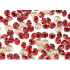 �ץ쥷����������ȥ�MAXIMA����åɥ٥�٥å� pp18 (10γ)