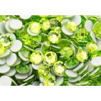 �ץ쥷������FB��MAXIMA���饤�ॷ����ss7 (10γ)