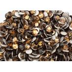 �ץ쥷������FB��MAXIMA���饤�ȥ��⡼���ȥѡ���ss9 (10γ)