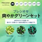プレシオサ　お得なカラーセット　爽やかグリーンセット (ss5)