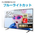 テレビ保護パネル 48 49 50型 50インチ ブルーライトカット テレビガード テレビカバー 液晶テレビ保護パネル 画面 保護 有機EL対応