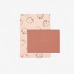  письмо комплект 14Plainapple[ почтовая доставка соответствует ]