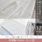 カット済生地・布　≪ カットワークレース ≫　カットワークレース生地/幅135〜148cm×50cm【メール便対応】