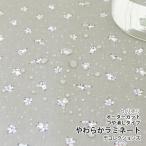 [OUTLET] ткань * ткань Worldofspace-spaceman мягкость ламинирование / ширина 105cm[ наматывать сердцевина отправка соответствует ]