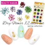 BEAUTY NAILER( красота neila-) сухой цветок 12 -цветный набор kogome смолёвка каролинская [DRF-3] нейл-арт собственный ногти гель ногти 