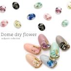 [ кошка pohs бесплатная доставка ] Nailparts купол сухой цветок примерно 8×6mm 5 штук все 6 цвет собственный ногти гель ногти 
