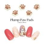[ кошка pohs бесплатная доставка ] Nailparts ......... детали 5 штук входит собственный ногти гель ногти 