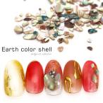 [ネコポス送料無料]ネイルパーツ アースカラーシェルパーツ [タイプ1/タイプ2]セルフネイル  ジェルネイル