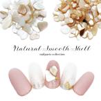 [ кошка pohs бесплатная доставка ] Nailparts натуральный гладкий ракушка все 2 вид примерно 5g ввод собственный ногти гель ногти 
