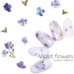 [ кошка pohs бесплатная доставка ] наклейки на ногти violet цветок наклейка [R003] собственный ногти гель ногти 