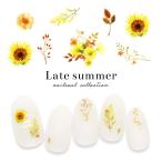 [ кошка pohs бесплатная доставка ] наклейки на ногти Ray to summer наклейка [R301] собственный ногти гель ногти 